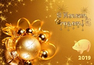 С Новым 2019 годом!