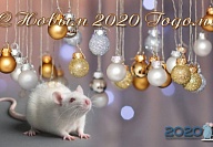 С Новым 2020 годом!