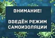 C 31 марта вводится режим самоизоляции