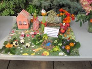 IMG_2300.JPG