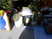 DSCN0249.JPG