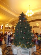 DSCN0947.JPG