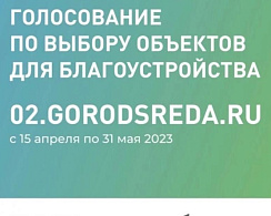 Голосуем за благоустройство лесопарка