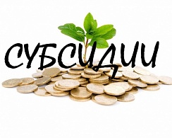 Как получить субсидию на оплату ЖКУ? Пошаговая инструкция