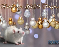 С Новым 2020 годом! 